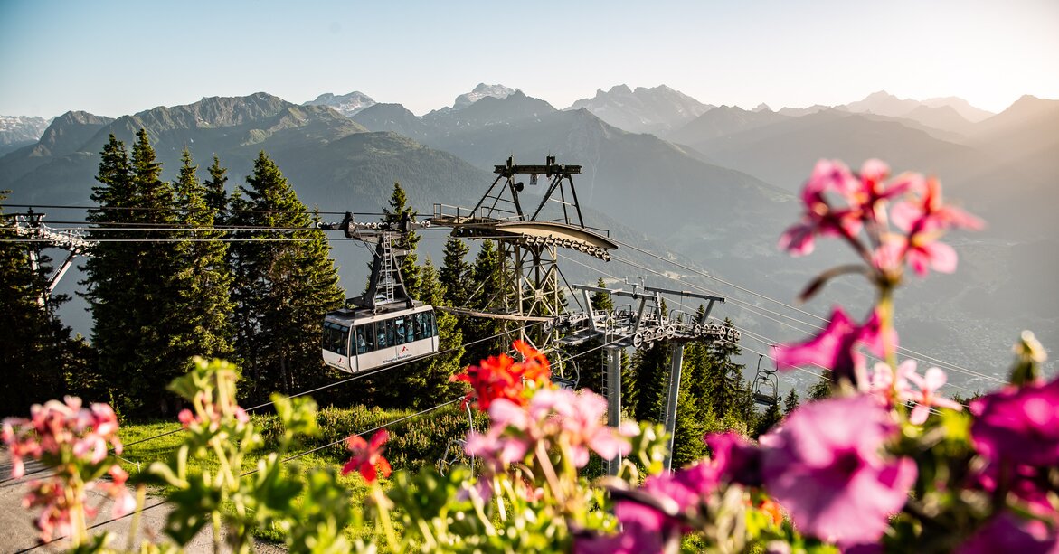 Hochjoch Bahn - Silvretta Montafon | © Silvretta Montafon - Friederike Weber Die Hochjoch Bahn der Silvretta Montafon schwebt in die Bergstation mit schönen Blumen im Vordergrund | © Silvretta Montafon - Friederike Weber